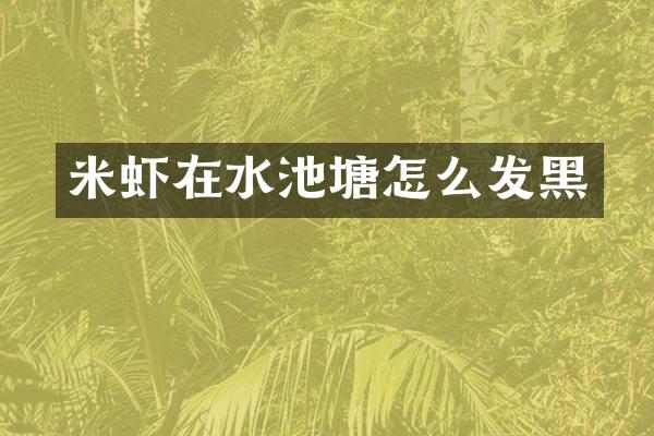 米虾在水池塘怎么发黑