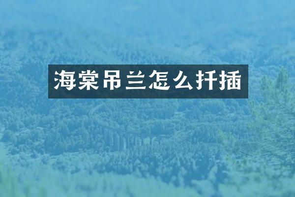 海棠吊兰怎么扦插