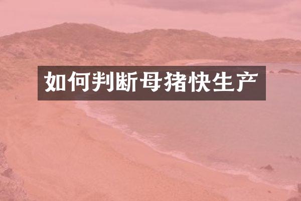 如何判断母猪快生产