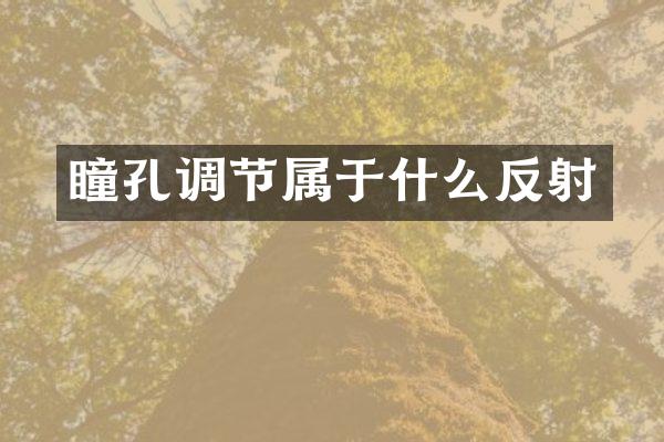 瞳孔调节属于什么反射