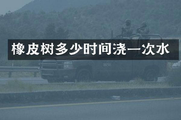 橡皮树多少时间浇一次水