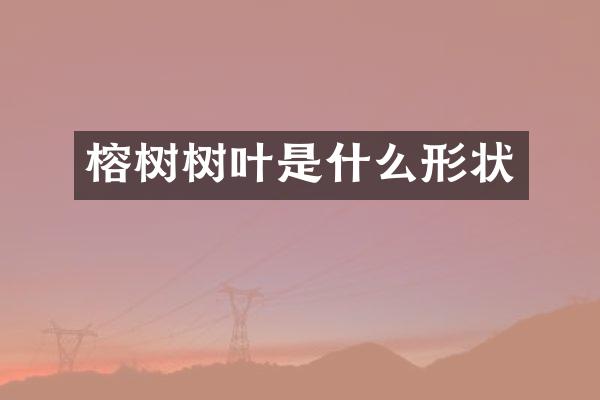 榕树树叶是什么形状