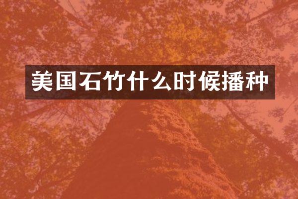美国石竹什么时候播种