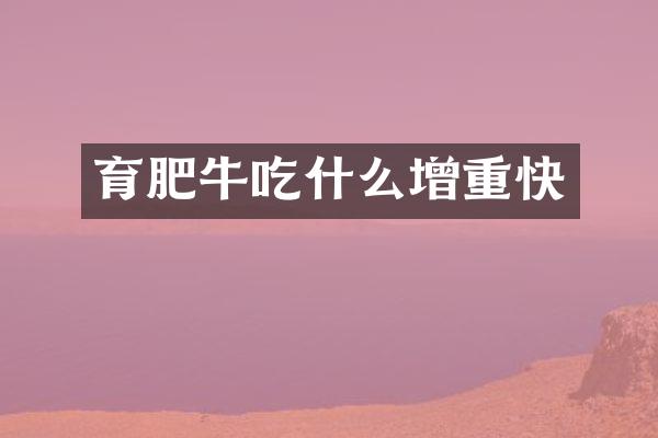 育肥牛吃什么增重快