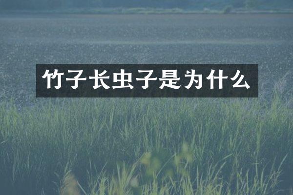 竹子长虫子是为什么
