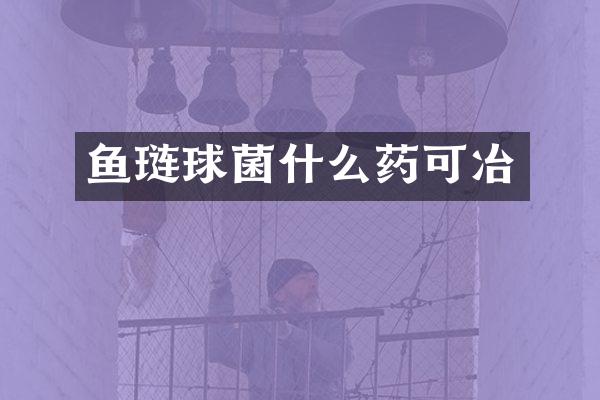 鱼琏球菌什么药可冶