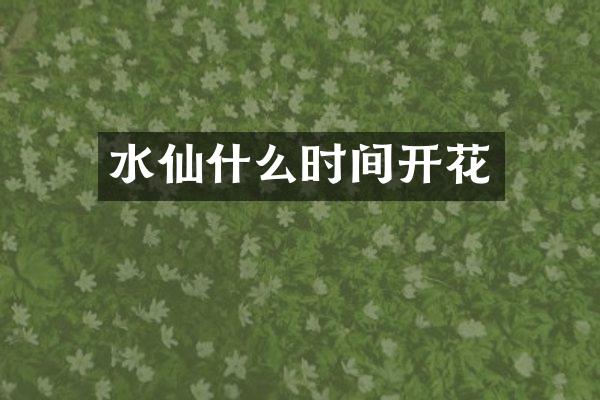 水仙什么时间开花