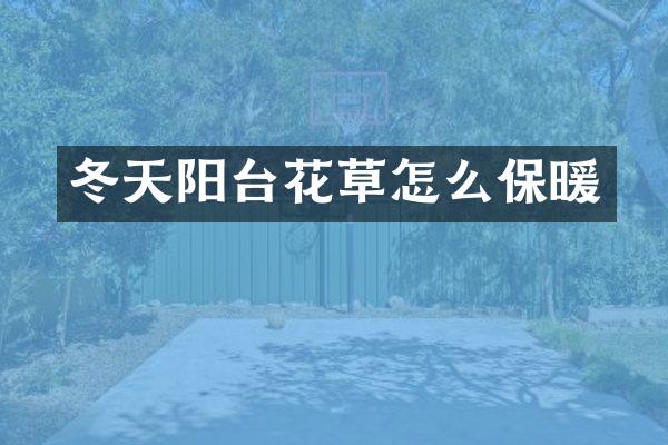 冬天阳台花草怎么保暖