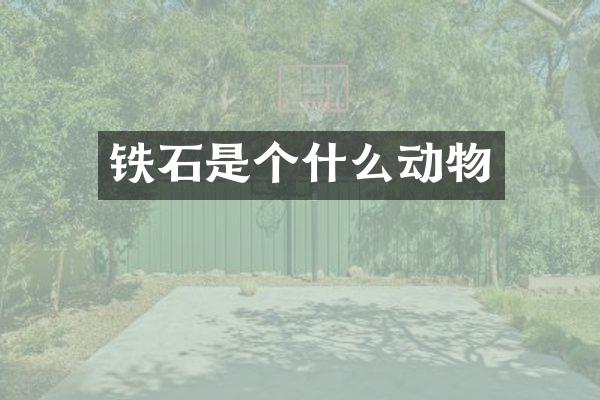 铁石是个什么动物