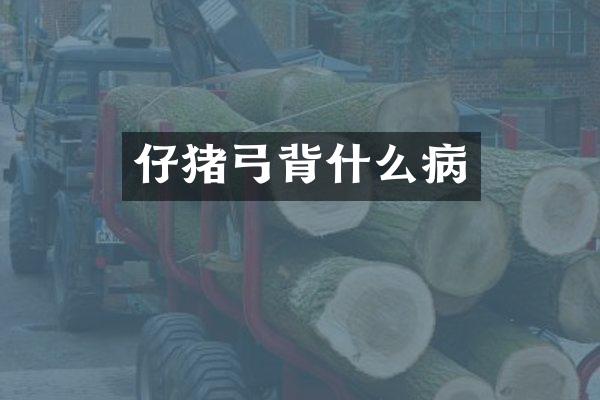 仔猪弓背什么病