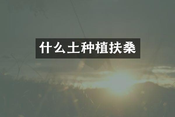 什么土种植扶桑