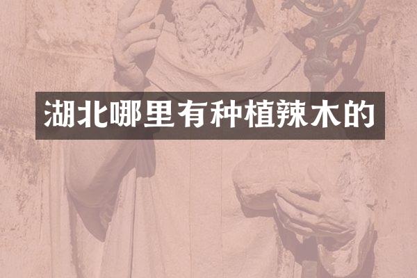 湖北哪里有种植辣木的