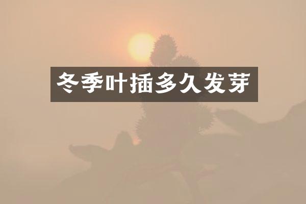 冬季叶插多久发芽
