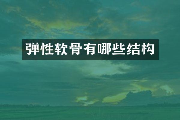弹性软骨有哪些结构