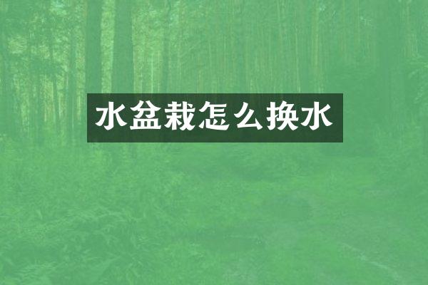 水盆栽怎么换水