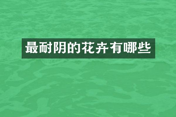 最耐阴的花卉有哪些