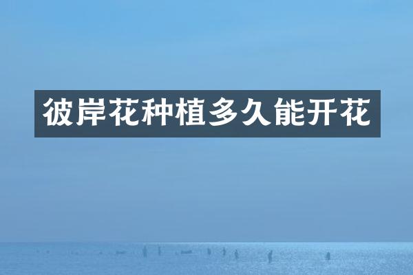 彼岸花种植多久能开花