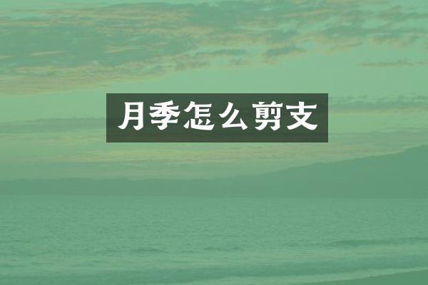 月季怎么剪支