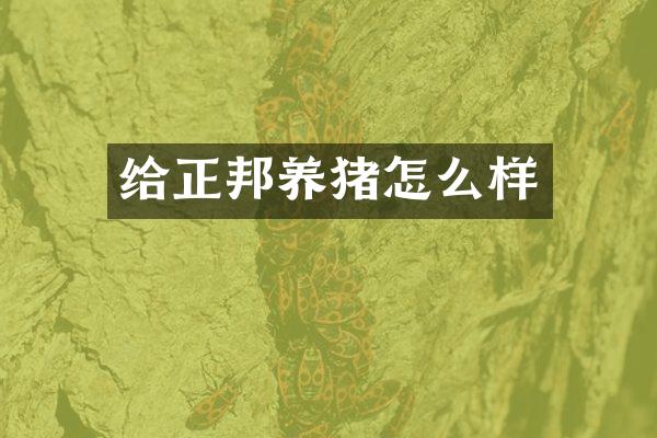 给正邦养猪怎么样