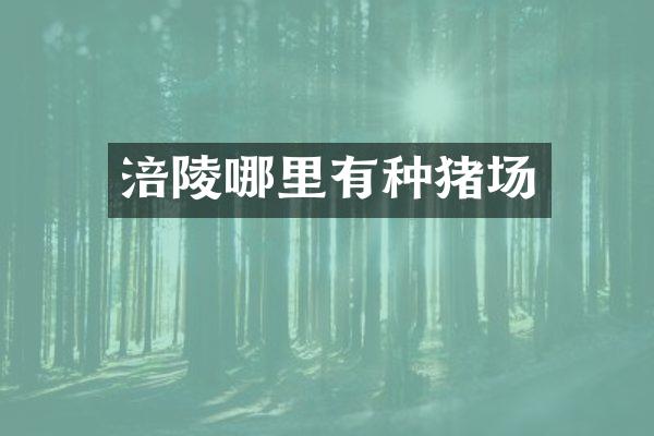 涪陵哪里有种猪场