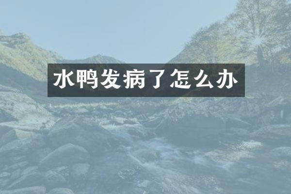 水鸭发病了怎么办