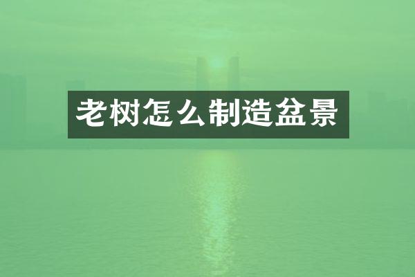 老树怎么制造盆景