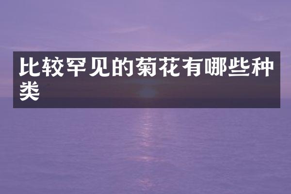 比较罕见的菊花有哪些种类
