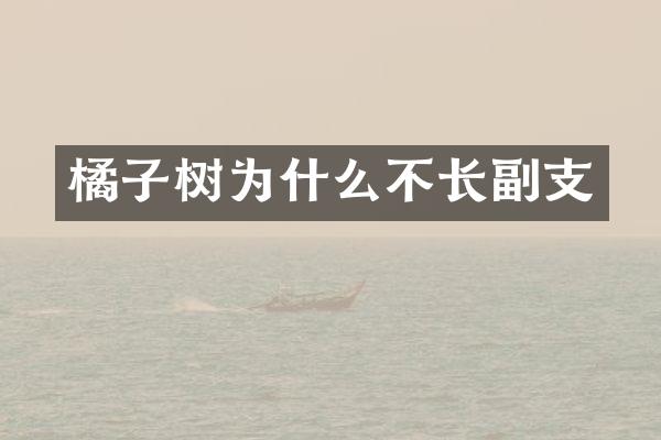 橘子树为什么不长副支