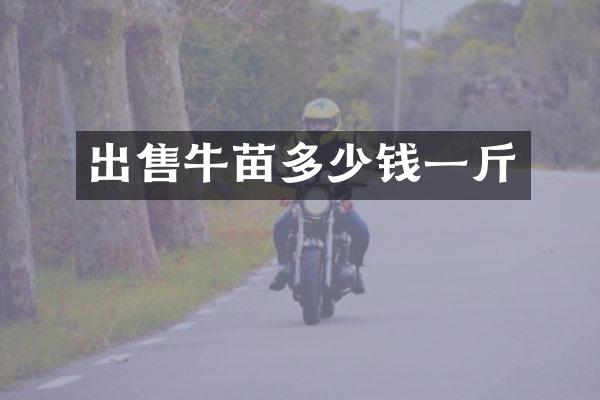 出售牛苗多少钱一斤