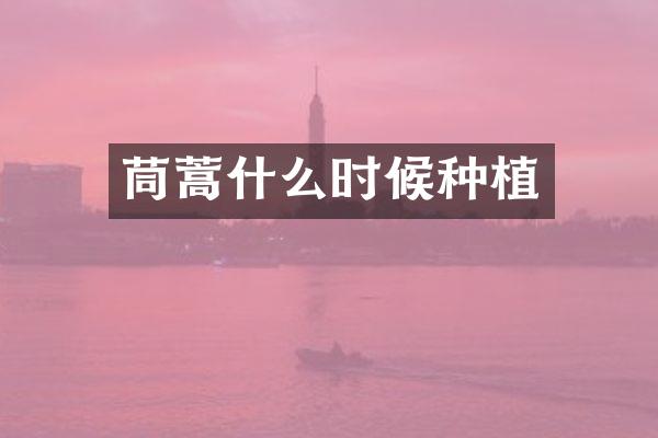 茼蒿什么时候种植