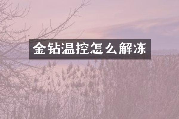 金钻温控怎么解冻
