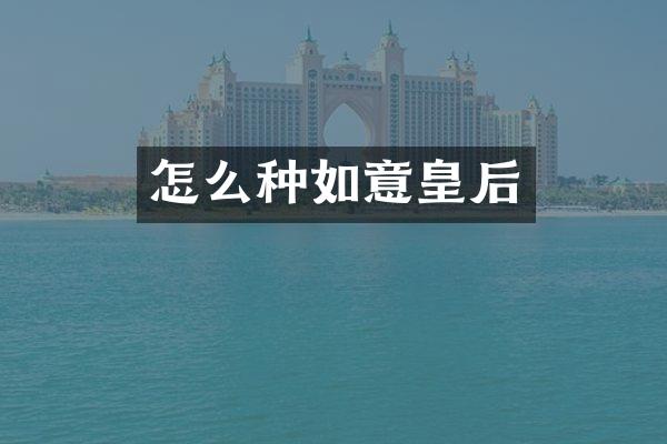 怎么种如意皇后