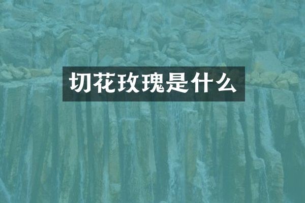 切花玫瑰是什么