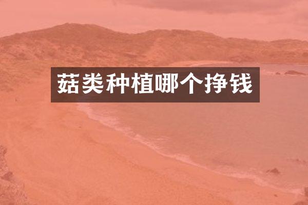 菇类种植哪个挣钱