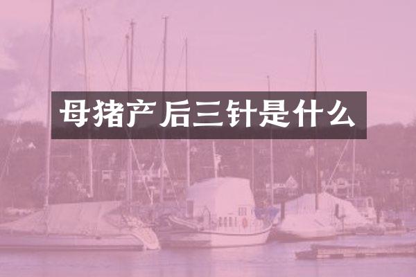 母猪产后三针是什么