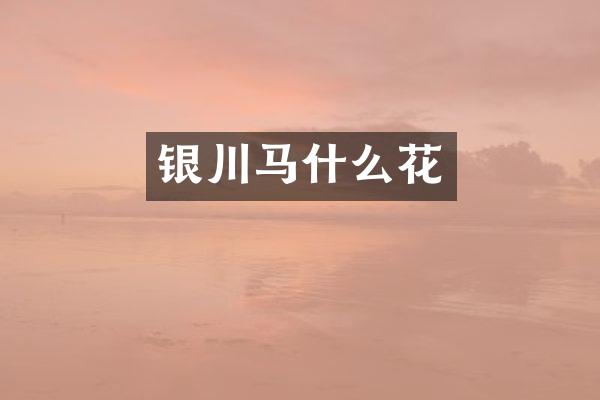 银川马什么花
