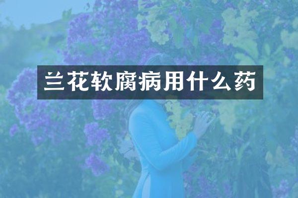 兰花软腐病用什么药