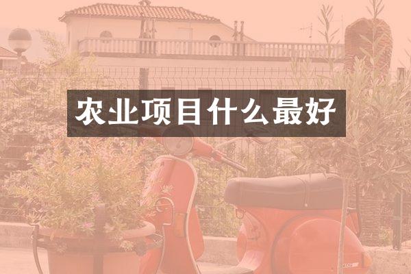 农业项目什么最好