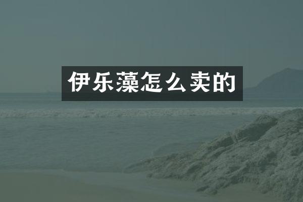 伊乐藻怎么卖的