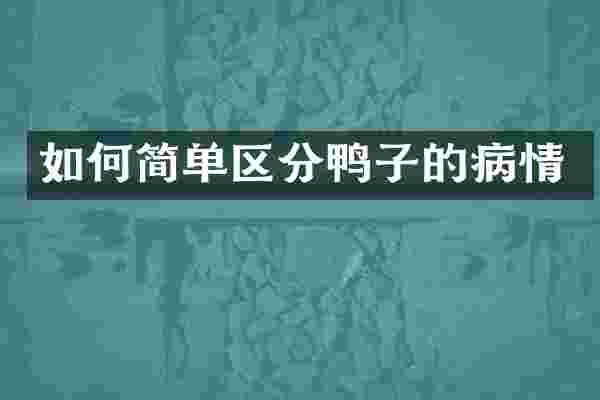 如何简单区分鸭子的病情