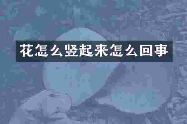 花怎么竖起来怎么回事