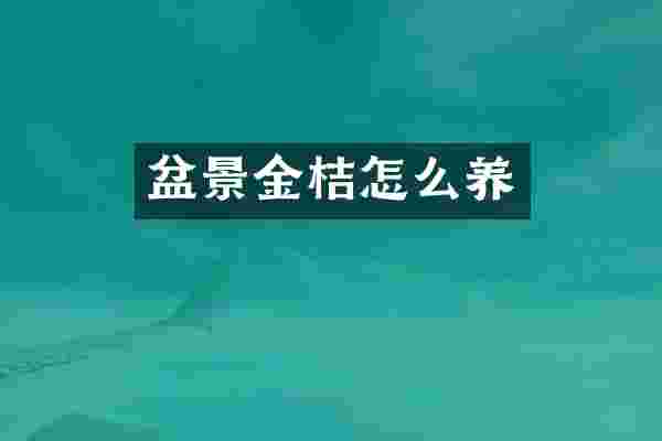 盆景金桔怎么养