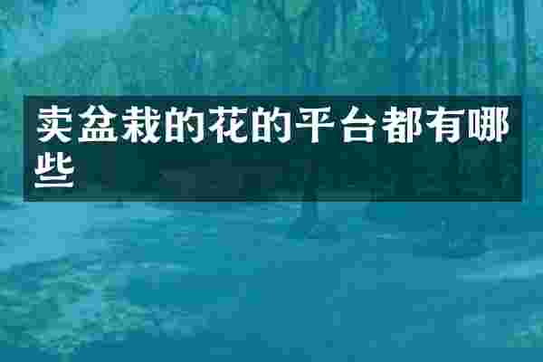 卖盆栽的花的平台都有哪些