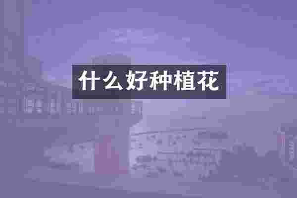 什么好种植花