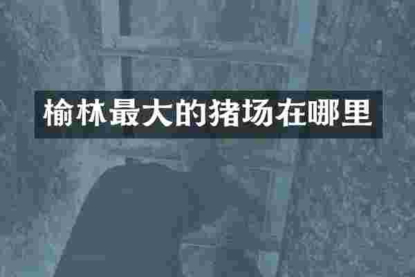 榆林最大的猪场在哪里