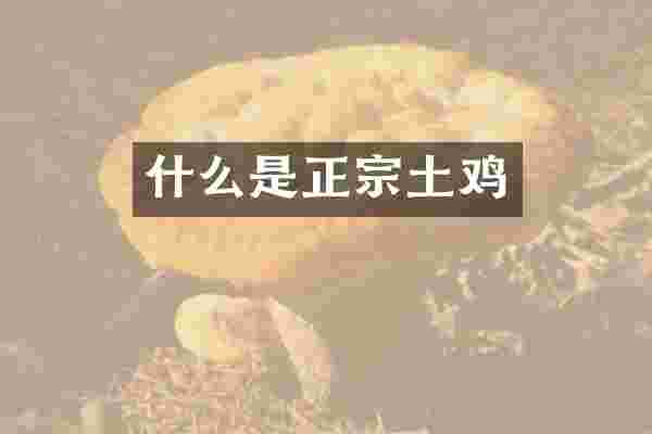 什么是正宗土鸡