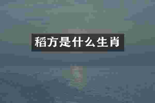 稻方是什么生肖