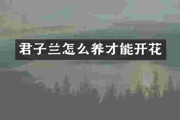 君子兰怎么养才能开花