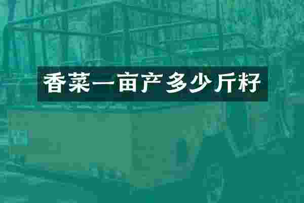 香菜一亩产多少斤籽