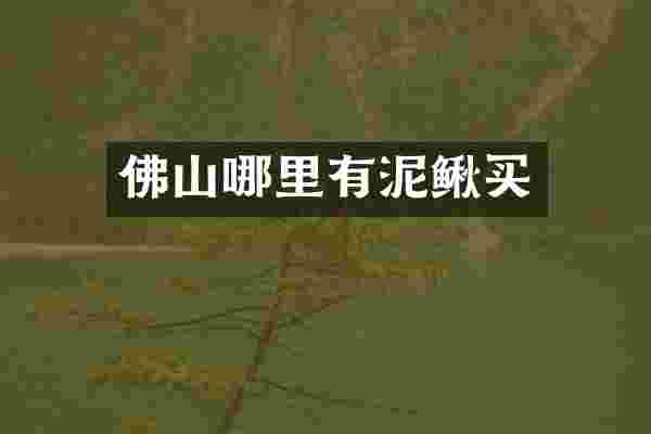 佛山哪里有泥鳅买